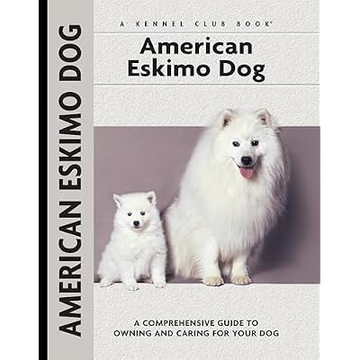 American Eskimo Dog