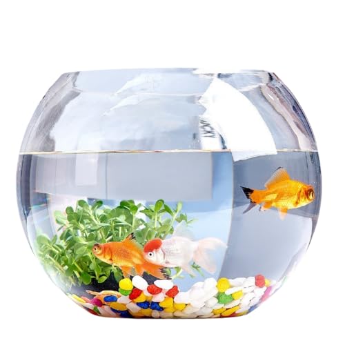 AOUTNItBX̏ ȃKX̋T̃rO[̊ۂ ȋ (,40CM+J[Xg[6_Zbg)