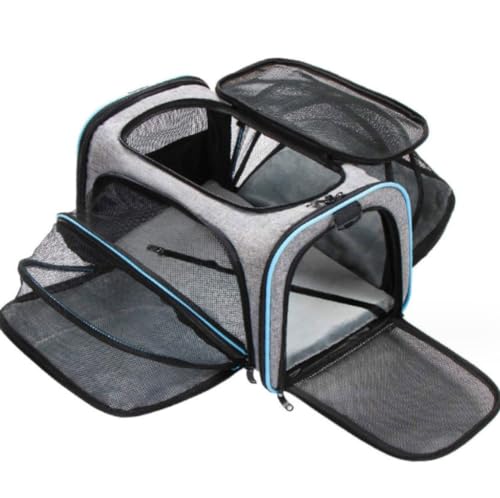 Xemuar AEgobO |[^uybgg[g ʋCLbgLA 4ʊg\ybgLA qLAqA^p qЌF \tgTChybggxLA (S)