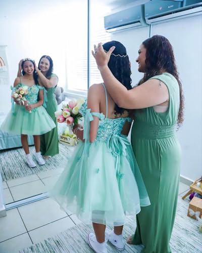 TRHTX Butterfly Applique Homecoming Dresses Tie Strap DAMA Dresses Tulle A-line Short Prom Dress3