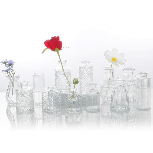 12Pcs Small Clear Glass Bud Vases Vintage Mini Flower Vases for Wedding Centerpieces Home & Table Decoration