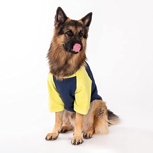 Image of HUFT Colour Block Pocket Pet Sweatshirt (XS, Neon and Navy)