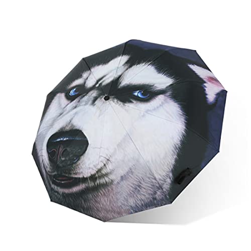 CHEYAL Parapluie Pliant Compact Trajet Parapluie Moyenge Design Spécial Poignée Ergonomique Ergonomique,A Cover