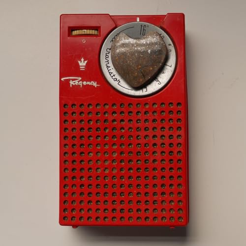 o Universo está grávido! por que mulheres vivem mais? a língua basca