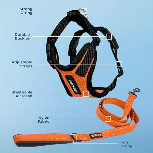Image of Best Pet Supplies Voyager Step-in Lock Pet Harness w Reflective Pet Leash Combo Set with Neoprene Handle 5ft - Supports Small, Medium and Large Breed Puppies /Cats - Orange /Black Trim Set, S