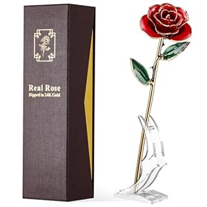 24K Gold Dipped Real Rose Preserved Eternal Rose with Gift Box Romantic Gift for Her Anniversary Valentines Day Mothers Day Wedding and Birthday Present