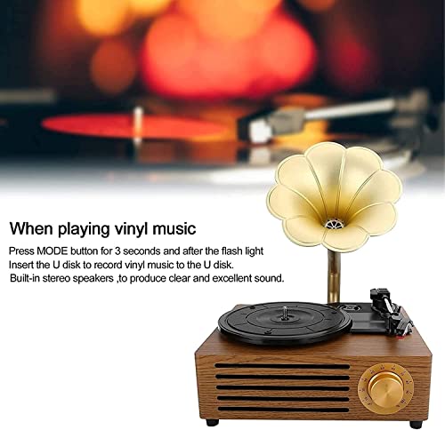 FBITE Haut-Parleur sans Fil pour Platine Vinyle phonographe, Style rétro Gramophone en Aluminium, pour Le Divertissement… - Les Beatles, Paul McCartney, John Lennon, RIngo Starr, George Harrison FBITE Haut-Parleur sans Fil pour Platine Vinyle phonographe, Style rétro Gramophone en Aluminium, pour Le Divertissement… – Image 3