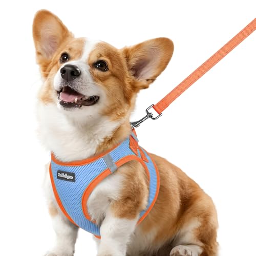 Rabbitgoo Step-In Harness & Leash Set (Light Blue & Orange, Small)