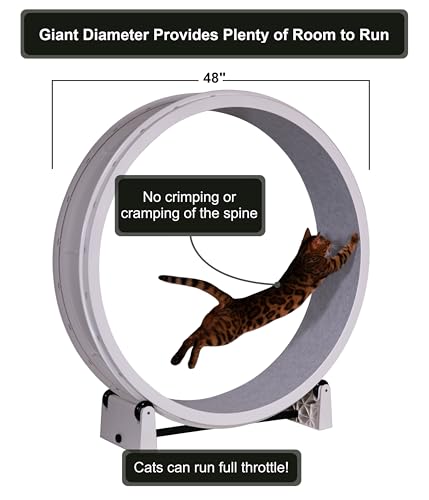 Image of One Fast Cat - Cat Exercise Wheel - Gen. 7 - Safe 48 inch Diameter - Made in The USA - White Wheel with Gray Felt Traction Pads and Light-Up LED Inline Wheels