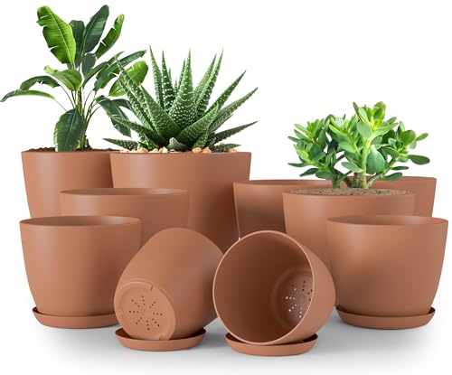 Utopia Home Paquete de 10 macetas 18/17/15/13/12 cm Maceta con platillo para la Cocina, balcón, Plantas de jardín, macetas de vivero de Interior Terracota.