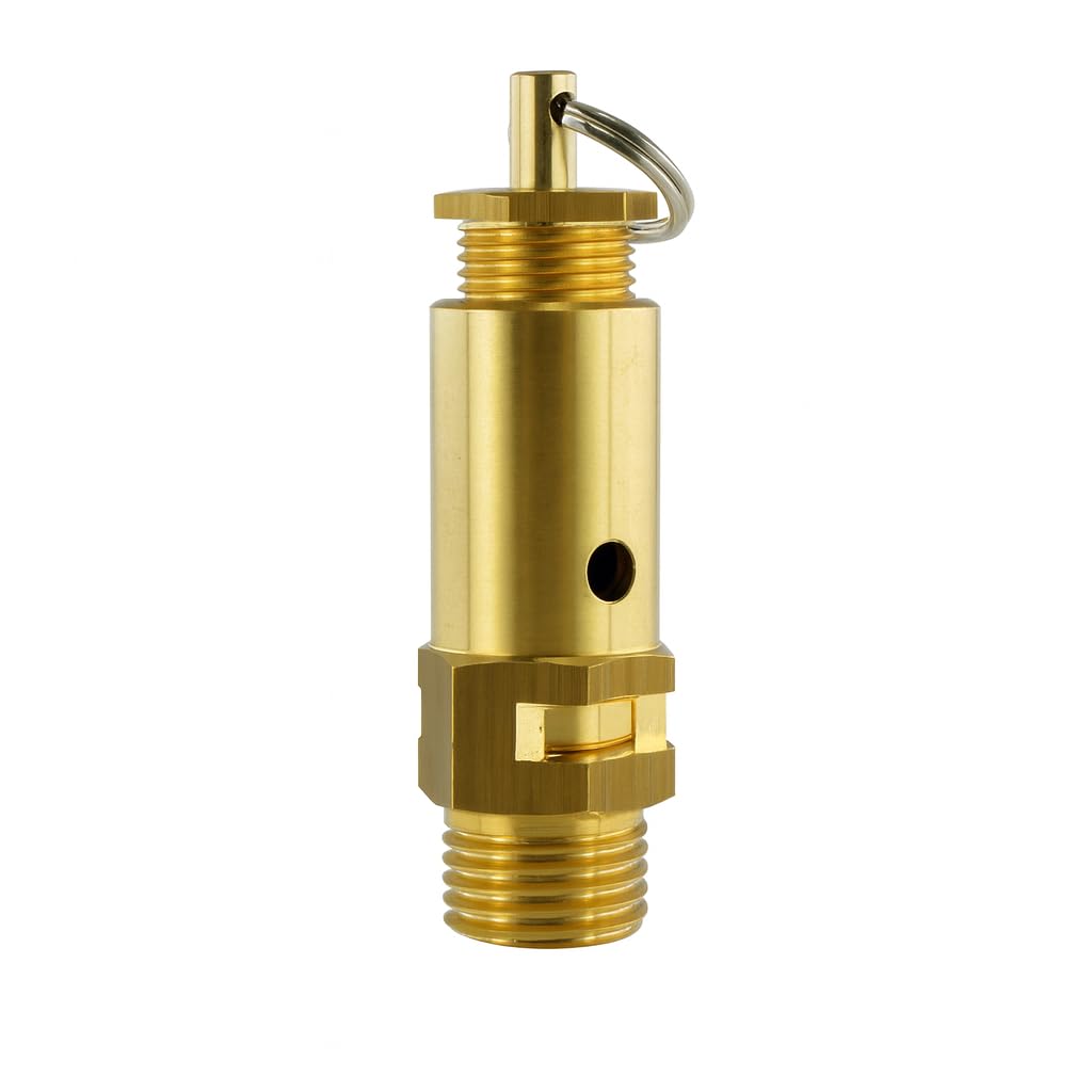 Mini Valvola Di Sicurezza - Componenti Non Testati - Aria Compressa MS 0 5 60 Bar  855811300001 9790