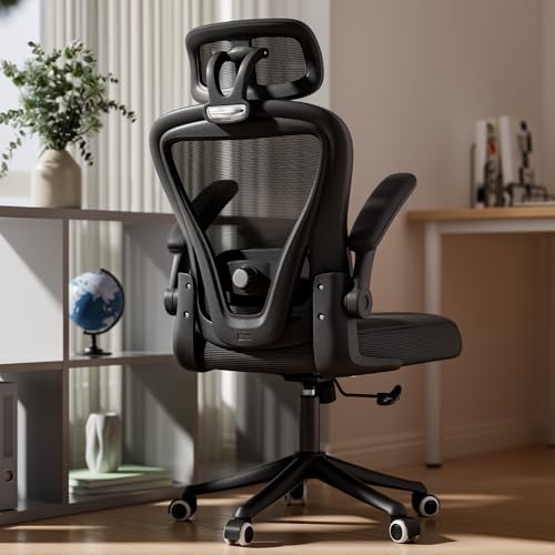 SeekFancy Ergonomic Office Chair with Lumbar Support