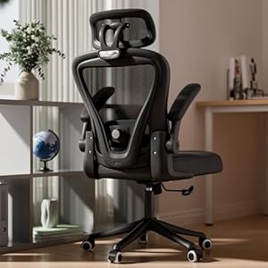Ergonomic Office Chair M903, Comput...