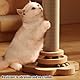 GOMETY 4 in 1 Katzenspielzeug aus Holz Roller 2-lagiger Drehteller Interaktives Katzen Spielzeug hölzernes mit Federn und Katzenminze Bälle, 40cm Katze Sisal Seil Kratzbaum mit hängenden Ball(Large)