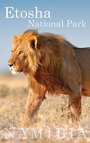 Etosha National Park The Guidebook English Edition Ebook Van Der Merwe Bryony Spall Monica Amazon De Kindle Shop