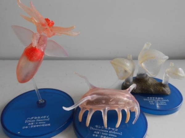 ♯LUi02DZ不思議生物大百科深淵の居住者深海生物7種シークレット