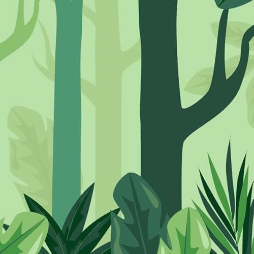 The Invisible Forest? Protecting the Brazilian Atlantic Forest by Alice Heiman