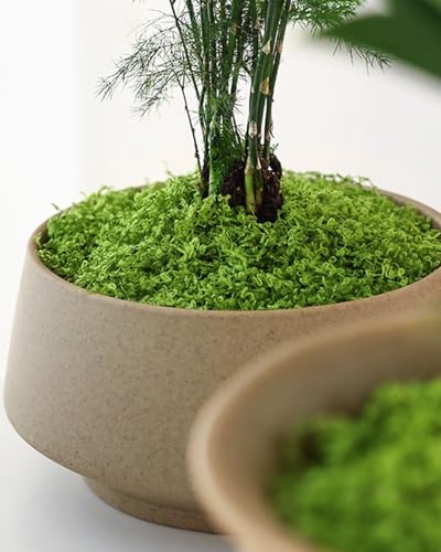 Image of NHCDFA Synthetic 100g Artificial Grass for Decoration,Fake Grass,Artificial Grass,Artificial Moss,Fake Moss Decorative Craft Moss for Lawn Green Plant Aquarium Landscaping,Garden Home Decoration