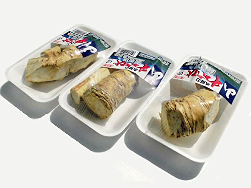 Amazon | 北海道産 山ワサビ（80g)×3個【出荷元:北海道四季工房