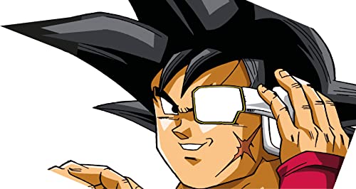 TLDSHOP® - Adhesivo DRAGONBALL Z - Adhesivo para aire acondicionado, muebles, coches, motos - Pegatina de cómics y dibujos animados de Dragonball Z: (Color, Bardack)