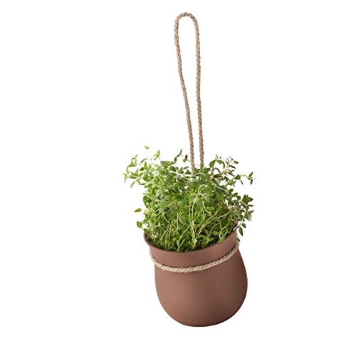 Pot à herbes marron Rig Tig Z00130-1 pour cuisine