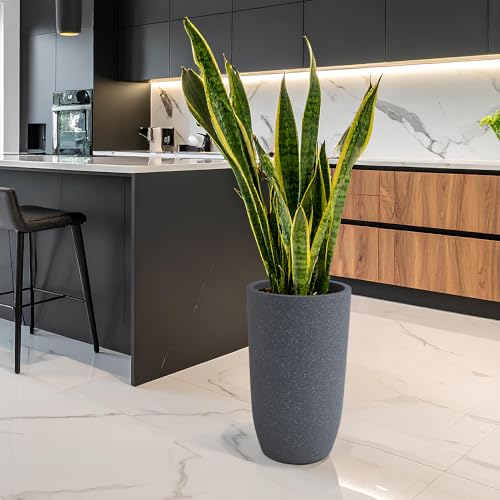 Image of YUCCABE ITALIA FOXB TPC 24 INCH Pots for Plants Highly Durable Polymers Lightweight Indoor Outdoor Plant Pots, Flower Pot Gamla Tree Planter Container Planters for Living Room, Balcony, Garden