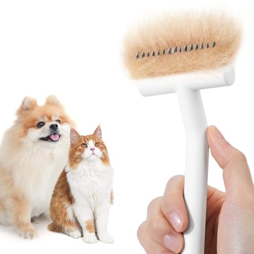 3 Best Grooming Tools For Ragdoll Cats Animals Log