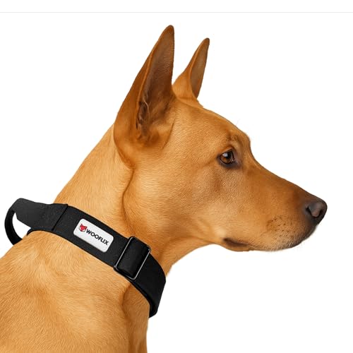 Image of Wooflix Metal Dog Collar for Training and Walks | Nylon Collar with Tactical Metal Buckle and D-Ring for Medium and Large Dogs | Dog Collar for Heavy Breed Dogs (Black T2, Large)