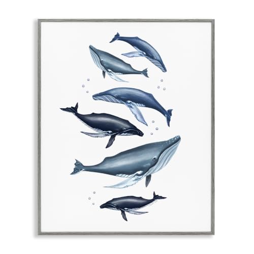 Blue Whales Marine Life Bubbles Fins, 24 x 30 Inch Framed Giclée Print