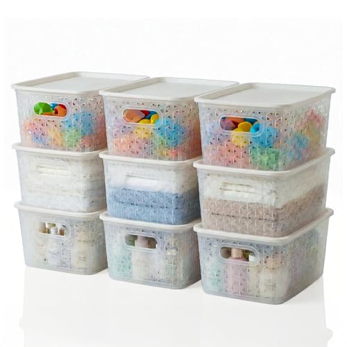 Kuber Industries 9 Pcs Plastic Small Solitaire Storage Basket with Lid & Handle | Multipurpose Storage Rectangular Box for Cloths Toys & Books | H1 - Transparent