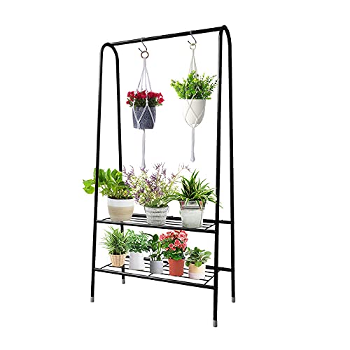 The 30 Best Hanging Plant Stands of 2024 [Verified] Cherry Picks