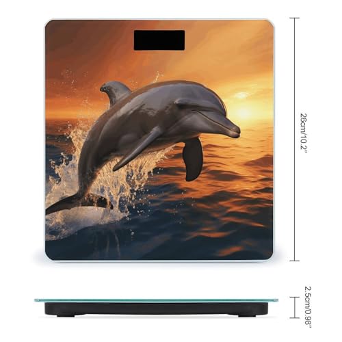 Balanza digital Dusk Dolphin con vidrio templado y pantalla LCD miniatura 2