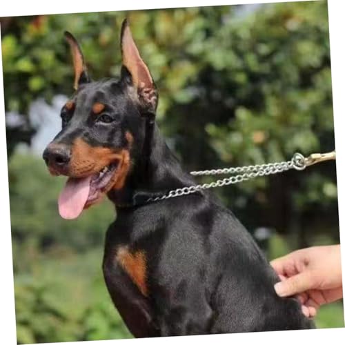 TOBBOMEY Hundeohren-Aufkleber Ohrenstütze Für Welpen Natürliches Stehen Der Ohren Komfortabler Ohrenschutz Mit Klebstoff Einfache Anwendung Zur Ohrpflege Und Ohrkorrektur