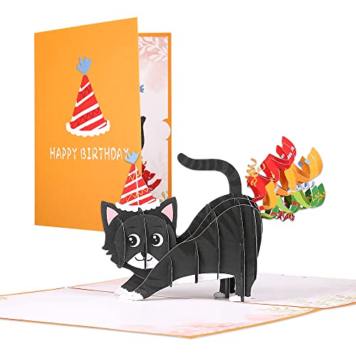 sdhiiolp Tarjeta de felicitación de cumpleaños 3D, divertida tarjeta de cumpleaños para gatos, tarjeta popup de cumpleaños para mujeres, hombres, niñas, hermanas jóvenes, novia, hijo