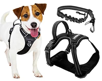 FIRSTPAW Dog Harness for Small sized Dogs - S Size Adjustable No Pull Harness for Dogs with Reflective Strips and Padded Handle made from Breathable and Comfortable Material - Car Seat Belt Included