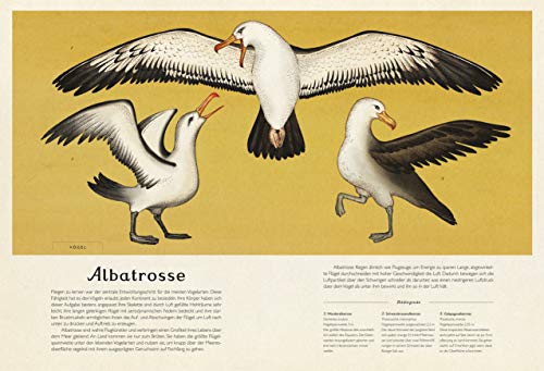 Das Museum der Tiere: Eintritt frei!: 1