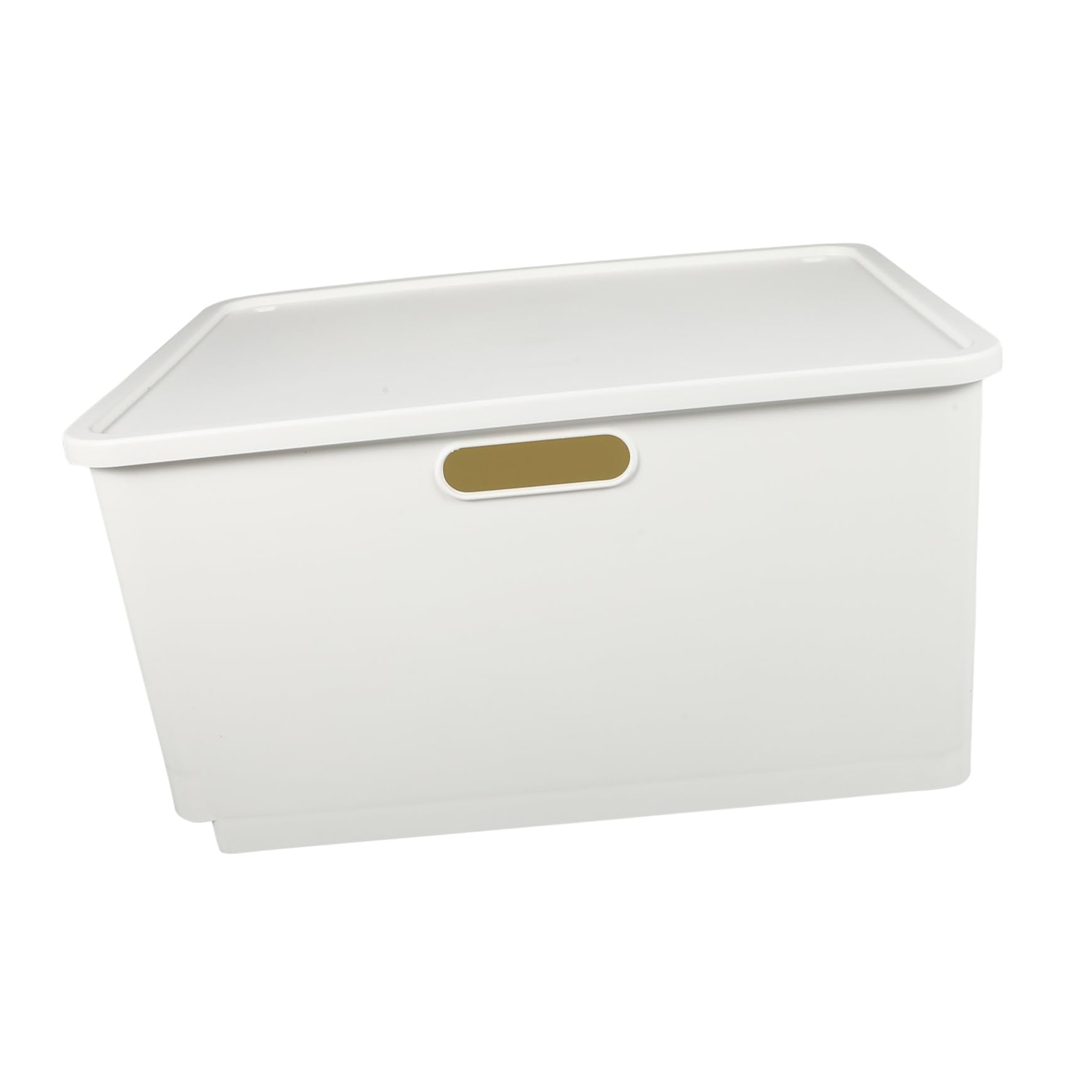 PRETYZOOM Boîte de Rangement Plastique Portable avec Couvercle Organisation Maison et Rangement Objets Petits