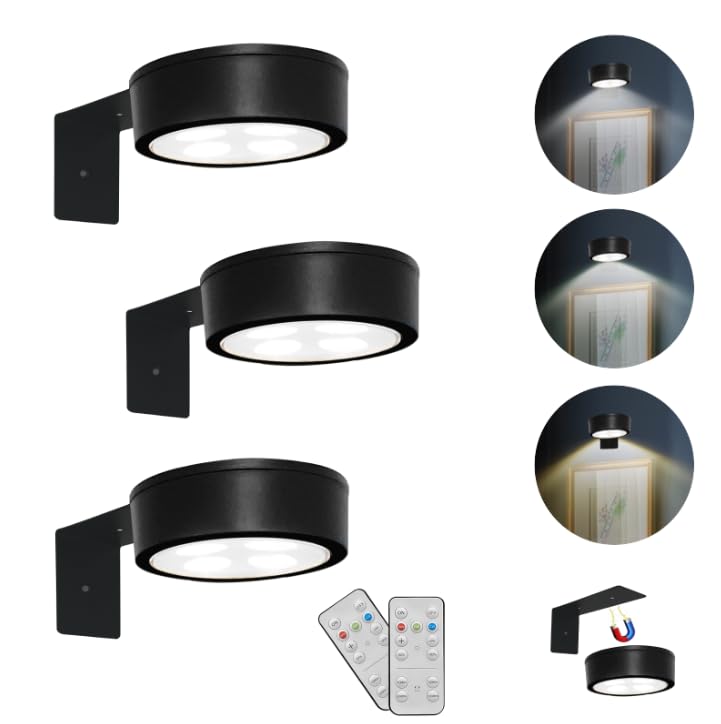 Arixinks Battery Picture Light for Wall with Remote, Painting Lighting for Display Artwork Accent Light Brightness Dimmable Timer-Off,Indoor Led for Picture Painting Portrait Frame Magnetic Mount