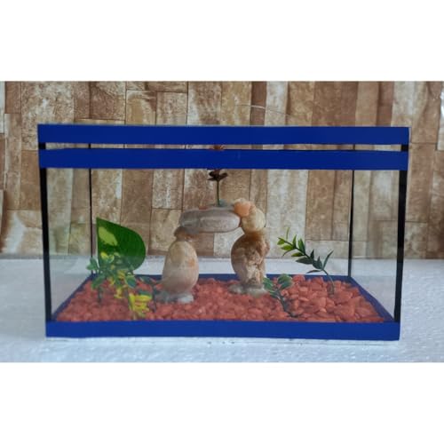 Aquário Beteira Retangular Decorada 4 Litros até a borda Peixe Betta Decorado Ornamentação Exclusiva