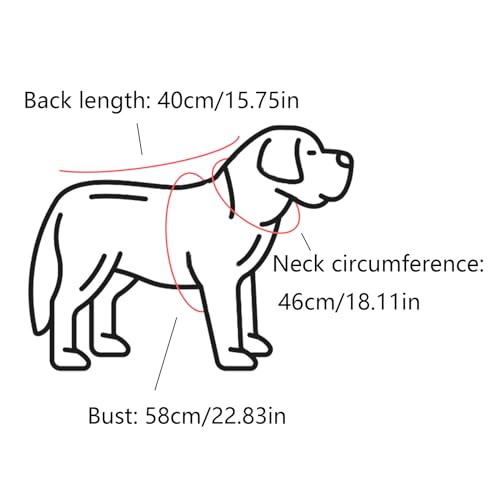Fayemint Regenmantel für Hunde Mit Kapuze - Verstellbar, für Unterschiedliche Größen und Formen (Blau)