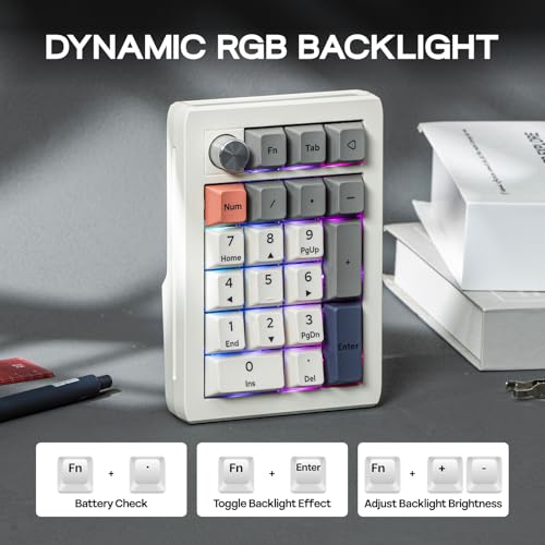 Image of EPOMAKER EK21 VIA Gasket Number Pad w / 1000mAh Battery, BT 5.0 /2.4GHz /Wired | Hot-Swap Numpad with Aluminum Alloy knob, Programmable for Win /Mac /Gaming (Retro White, Zebra Switch)