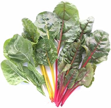 Amazon 無農薬人気野菜サラダセット ルッコラ スイスチャード サラダほうれん草 サラダ水菜 わさび菜の5種10袋 各2袋 セット 舞洲フェルム ルッコラ 通販