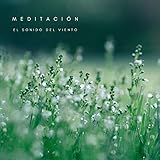 Experiences In Music