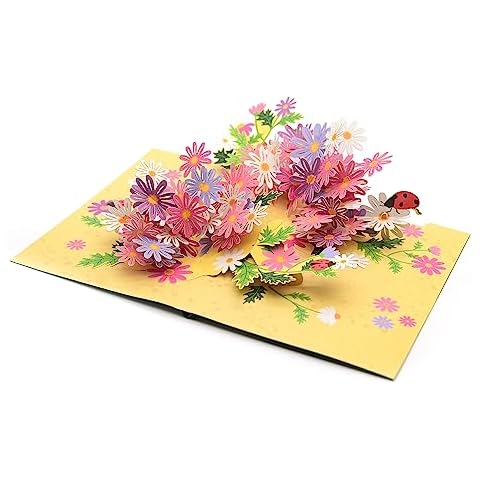 Carte pop-up 3D Daisy Garden - ASVP Shop Cover