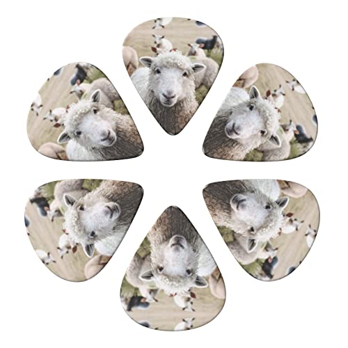 Mignon mouton agneau Lot de 6 médiators pour guitare acoustique, guitare électrique, basse, ukulélé – fin, moyen et… - Les Beatles, Paul McCartney, John Lennon, RIngo Starr, George Harrison Mignon mouton agneau Lot de 6 médiators pour guitare acoustique, guitare électrique, basse, ukulélé – fin, moyen et… – Image 5