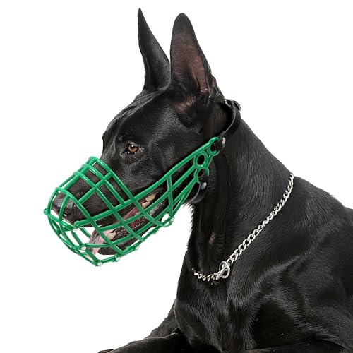 AMATHINGS Greyhound-Rennmündung mit frei laufenden Greyhounds und großen Rassen mit langen, schlanken Schnauzenformen (grün)