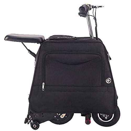 ZLM Elektroroller Für Erwachsene, Elektromobil Für Motorroller, Elektrofahrrad 8-Zoll-Reifen Tragbares Faltbares Fahrrad 36 V / 8 Ah Lithium-Ionen-Batterie 250 W Motor Höchstgeschwindigkeit 20 Km/H,C Cover