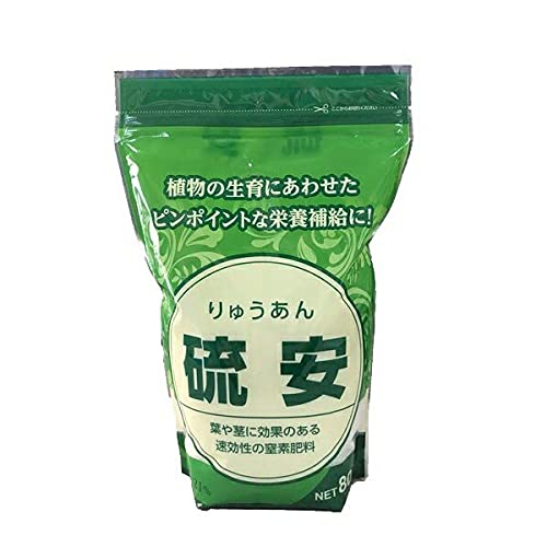 �勦��� �엿 �P�� ���f ���� 800g