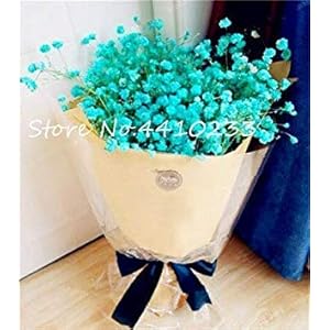 LLAVORS Cushy: 100 kleuren Bonsai romàntic de jardí de flors populars Decoració Bonsai: o