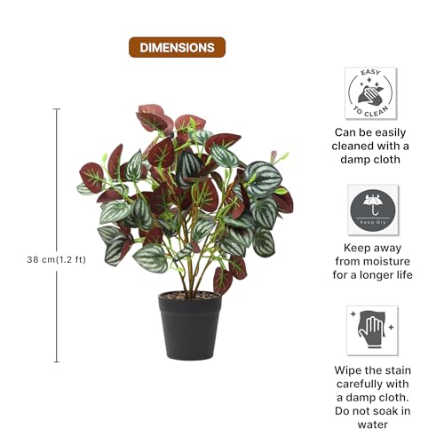 Image of Habere India-All the Cultures Fabricating India Artificial Plant with Pot for Home Decor | Fake Plants for Living Room Decoration | Artificial Plants for Decoration (Design 02; L24 x W25 X H38 cm)